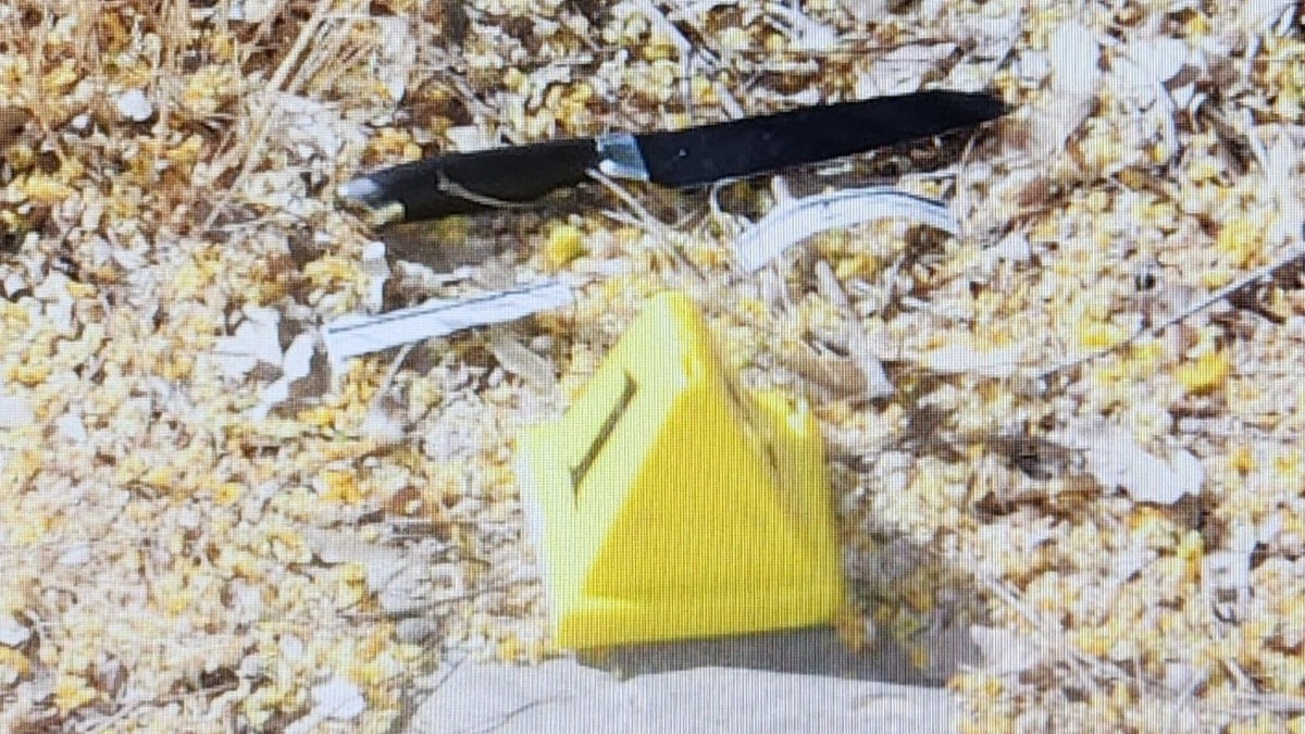 כתב אישום נגד רוצח אימו, בדירה בערד: ''דקרתי אותה למוות'', סיפר בתחנת המשטרה