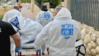 זק''א מתריע: 'עלייה חדה במקרי מוות של עריריים, מגפה של ממש'