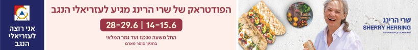 קישור לwww.azrielimalls.co.il